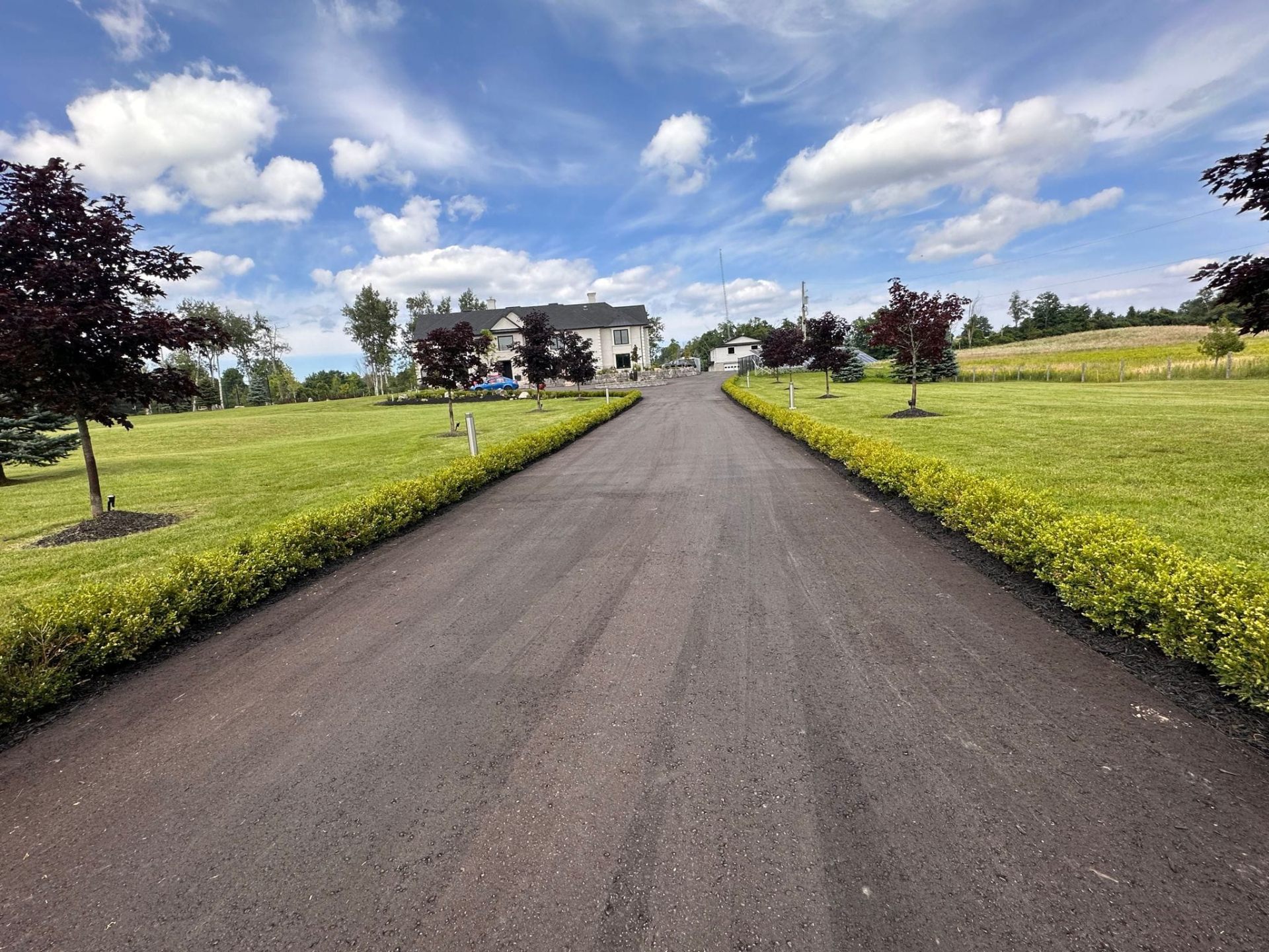 Long asphalt driveway lined with trimmed hedges and maple trees